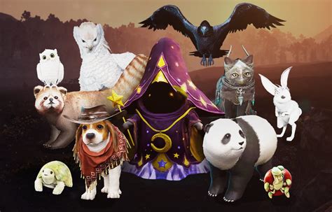 bdo best pets|BDO Pets & Pet Food .